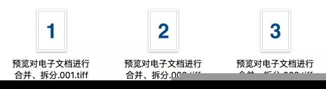 2.webp.jpg