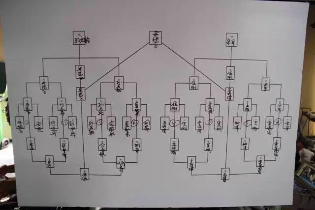 4.jpeg
